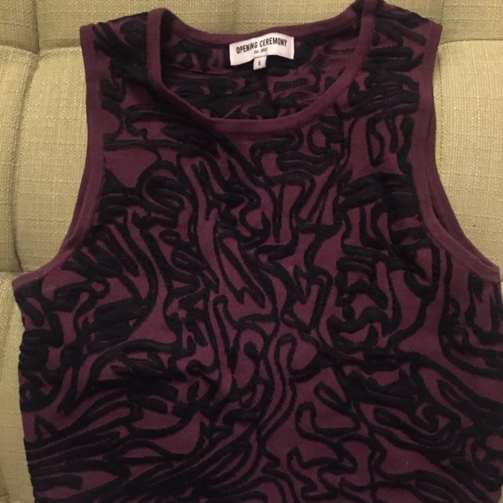 Opening Ceremony Crop Blouse